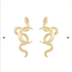 Catbird snake moon earring (single)